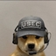 SSS Survival logo