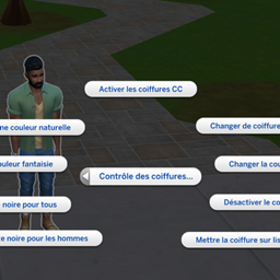 Hair Control - Traduction FR logo