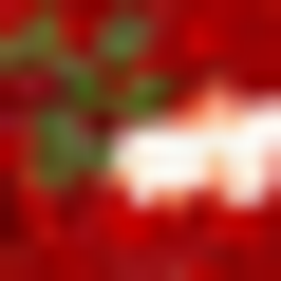 Borsch Lava project image