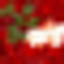 Borsch Lava logo