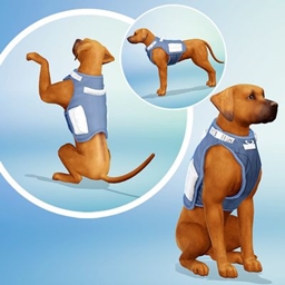 Dog Harness Recolors - Cats & Dogs required project image