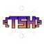 The Starlit Haven SMP logo