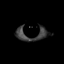 Elder Eye logo