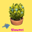 Shoumei Leaves (Harvestable) By Pied Piper | Chinese Translation logo