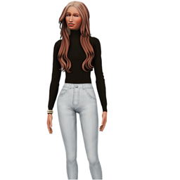 Ribbed Long Sleeve Turtle Neck project image