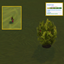 Rosehip (Harvestable) By Pied Piper | Chinese Translation logo
