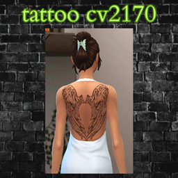 tattoo cv2170 project image