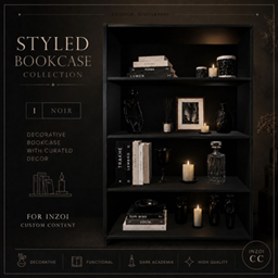 Styled_Bookcase_Noir project image