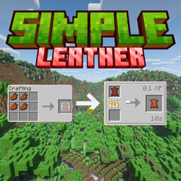Simple Leather project image