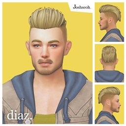 Diaz Hair V3 project image