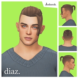 Diaz Hair V2 project image