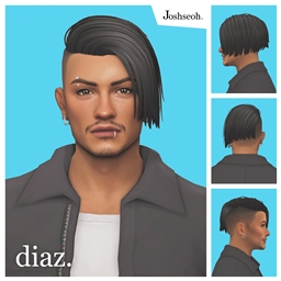 Diaz Hair V1 project image
