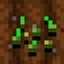 Bulk Planting logo