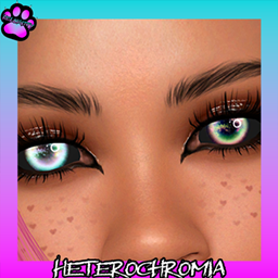 Fantasy Eyes N10- Lyra (BS) Heterochromia project image