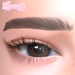[Learxfl] Grace Eyebrows project image