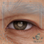 Niven Iris Preset: Cataracts logo