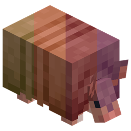 Varied Armadillos project image