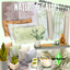 Nature & Calm logo