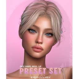 Face preset set project image