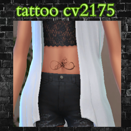 tattoo cv2175 project image