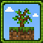 Sapling Cycle : Replanted logo
