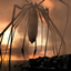 Hope you like spiders logo