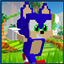 Sonic The Hedgehog 4d Skin logo