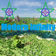 Modern Infinity (MI) logo
