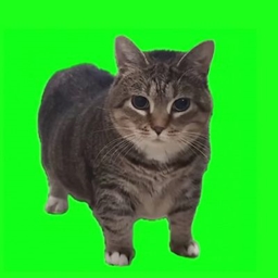 Oiia Oiia Cat Meme Totem logo
