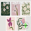 Flowers Ornament n°2 logo