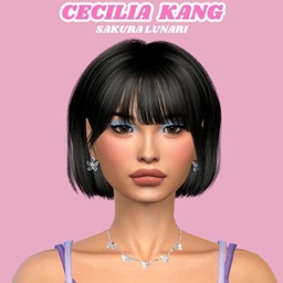 Cecilia Kang CC project image