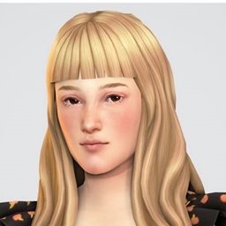 📑dogsill Teresa Hair (Kids Conversion) project image