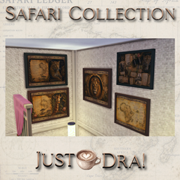 The Safari Collection project image