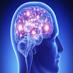 The Big Brains