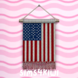 Knitted American Flag project image