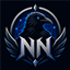 Nightwing Network logo