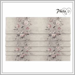 Emily Roman Blind project image