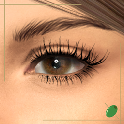 Amara 3D Lashes project image