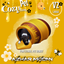 Cosy_Pet_Living_Pet Honey V2 LARGE logo