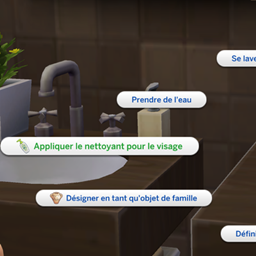 Facial Cleanser 4 All - Traduction FR project image