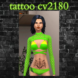 tattoo cv2180 project image