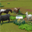 Llamas&Cow's Prairie Grass By Serinion | Chinese Translation logo