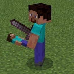  3D Steve Totem project image