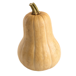 SquashCraft