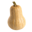 SquashCraft logo