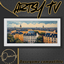 Danius Artsy TV - Set - DATV0611 - Basegame compatilbe logo