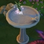 Birdbath Default Replacement By Serinion | Chinese Translation logo