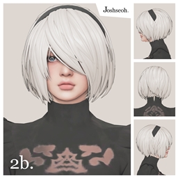 Hair of 2B & Headband logo