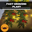 MH Fast Growing Plant logo