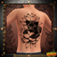 Robynq Tattoo LTD6070 - Basegame compatible logo